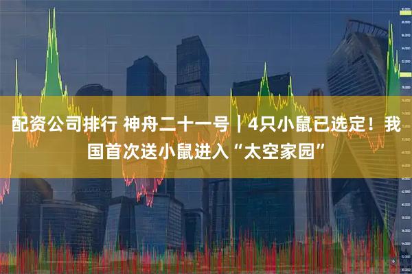 配资公司排行 神舟二十一号｜4只小鼠已选定！我国首次送小鼠进入“太空家园”