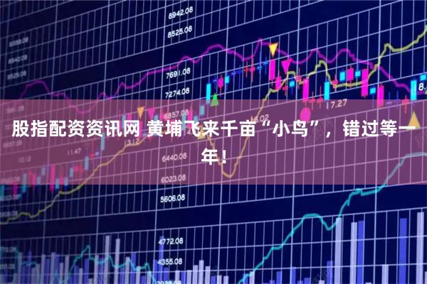 股指配资资讯网 黄埔飞来千亩“小鸟”，错过等一年！